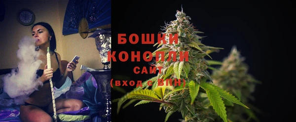 МДПВ Дмитриев