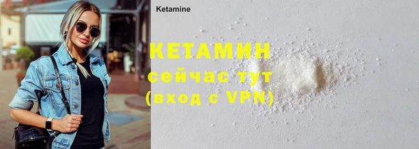 МДПВ Дмитриев