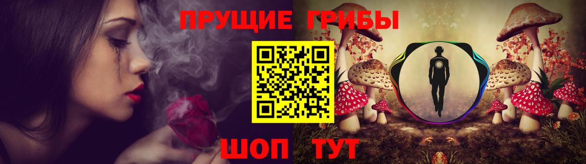 Слободской  Галлюциногенные грибы MAGIC MUSHROOMS  Вход с VPN  Псилоцибиновые грибы Psilocybe 
